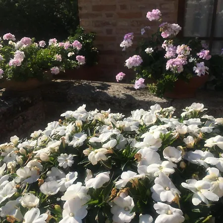 Caprera Casa di campagna *