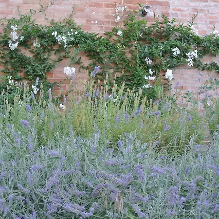 Caprera Siena