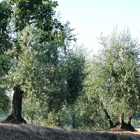 Caprera Casa di campagna *