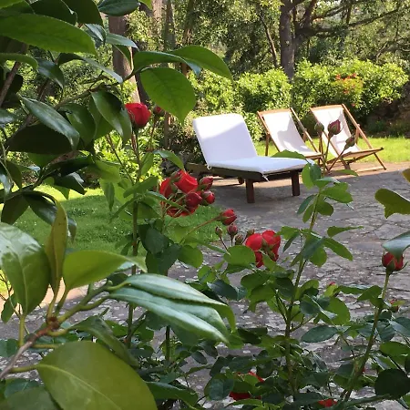 Caprera * Σιένα